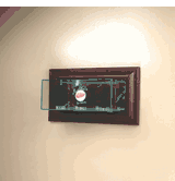 Wall Mounted Triple Puck Glass Display Case