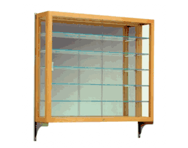 Wall-Mounted Trophy Cases & Displays