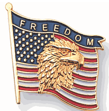 Waving Flag with Eagle Pins - Click to enlarge