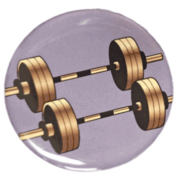 Weightlifting Insert (2") - Click to enlarge