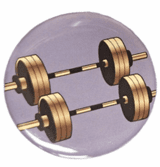Weightlifting Insert (2")