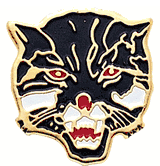 Wildcat Lapel Pin with Color Finish
