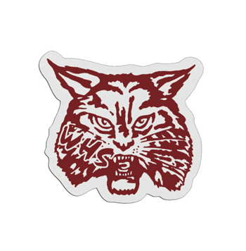 Wildcat Mascot Badge - Click to enlarge