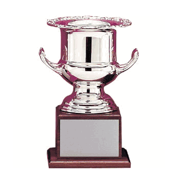 Wine Cooler Award - Click to enlarge