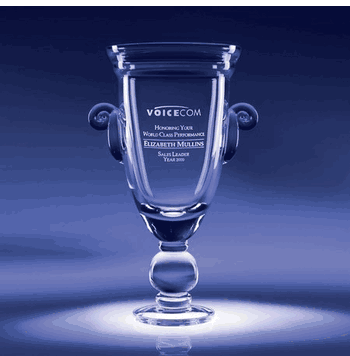 World Class Cup Champion's Award - Click to enlarge