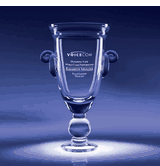 World Class Cup Champion's Award