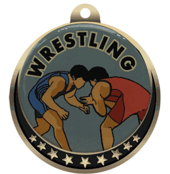 Wrestling Insert Medal - Click to enlarge