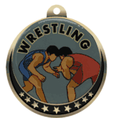 Wrestling Insert Medal