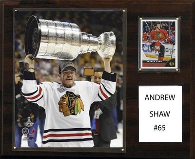 12"x15" Andrew Shaw Chicago Blackhawks Player Plaque