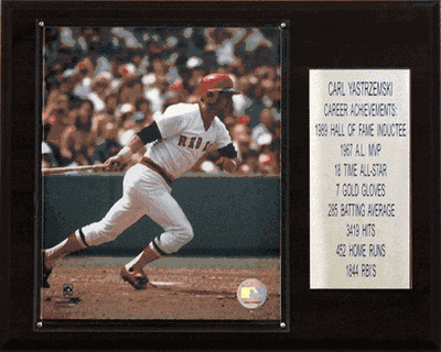 12"x15" Carl Yastrzemski Boston Red Sox Career Stat Plaque