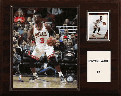 12"x15" Dwyane Wade Chicago Bulls Player Plaque