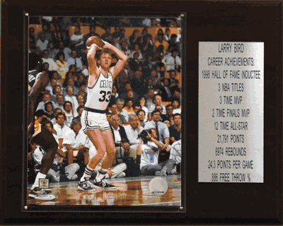 12"x15" Larry Bird Boston Celtics Career Stat Plaque