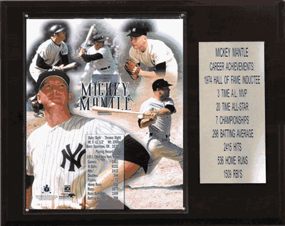 12"x15" Mickey Mantle New York Yankees Career Stat Plaque
