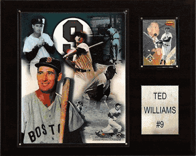 12"x15" Ted Williams Boston Red Sox Player Plaque