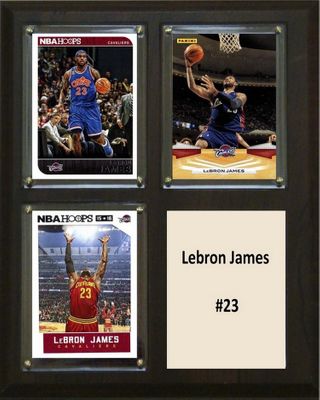 8"x10" Lebron James Cleveland Cavaliers Three Card Plaque