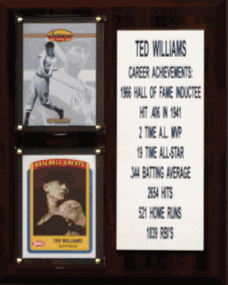 8"X10" Ted Williams Boston Red Sox Career Stat Plaque