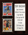 Terry Bradshaw Pittsburgh Steelers Career Stat Plaque - 8"X10"