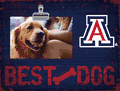 Arizona "Best Dog" Clip Frame - 10 x 18 Arizona "Best Dog" Clip Frame - 10 x 18
