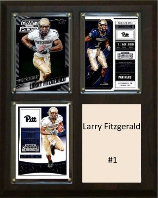 Larry Fitzgerald Player Plaque