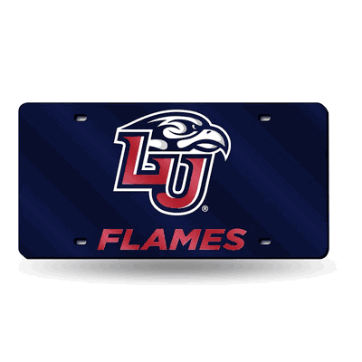 Liberty University Laser Tag
