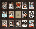 MLB 16"x20" David Ortiz Boston Red Sox 14-Card Plaque MLB 16"x20" David Ortiz Boston Red Sox 14-Card Plaque
