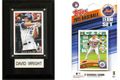 New York Mets Trading Card Fan Pack New York Mets Trading Card Fan Pack