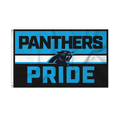 NFL Carolina Panthers Bold 3' x 5' Banner Flag