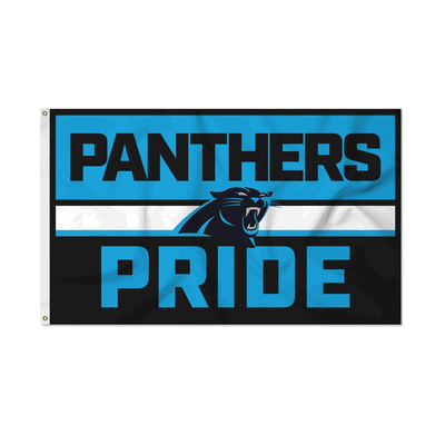 NFL Carolina Panthers Bold 3' x 5' Banner Flag