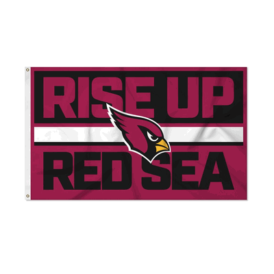 NFL Football Arizona Cardinals Bold 3' x 5' Banner Flag