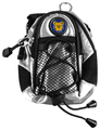 North Carolina A&T Aggies Mini Day Pack - Silver