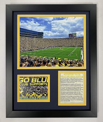 University of Michigan "The Big House" Stadium  Framed Photo Collage