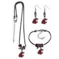 Washington St. Cougars Euro Bead Jewelry 3 piece Set