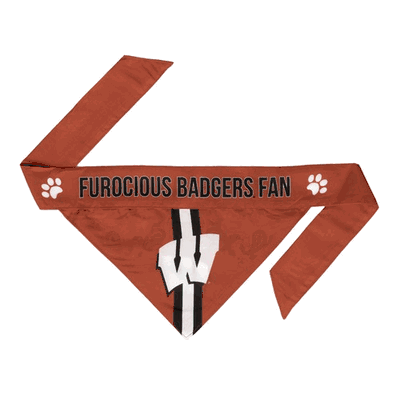 Wisconsin Badgers Pet Bandanna
