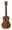 Cordoba 20CM Solid Top Concert Ukulele