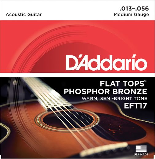 D'Addario EFT Flat Top Phosphor Bronze Acoustic Guitar Strings EFT17 Medium 13-56