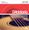 D'Addario EJ Phosphor Bronze 12 String Acoustic Guitar Strings EJ39 Medium 12-52