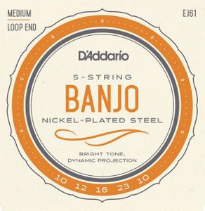 D'Addario Nickel Wound Loop End 5 String Banjo Strings EJ61 Medium 10-23