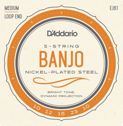 D'Addario Nickel Wound Loop End 5 String Banjo Strings EJ61 Medium 10-23