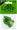 Dunlop Tortex Jazz III XL Guitar Picks 498 Green .88mm 12 Pack