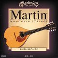 Martin 80/20 Mandolin