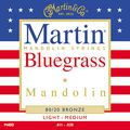 Martin Bluegrass - 80/20 Bronze Mandolin