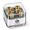 Schaller Security Locks Strap Lock Set of 2 - Gold