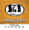 SIT Phosphor Bronze Acoustic Guitar Strings P1254 Light 12-54