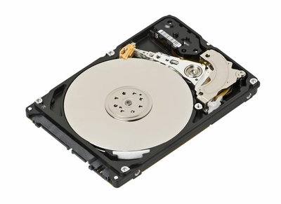 03X3950 IBM 1TB 7200RPM SATA 3Gbps 64MB Cache 3.5-inch Internal Hard Drive for ThinkServer RD530 and RD630