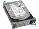 Oracle Sun Part Number: (540-6607 )  Sun 146.8GB - 15000 RPM Disk Assembly with 1 bracket 1 of the following plates and 1 of the following disks L