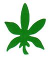 Evil Weed