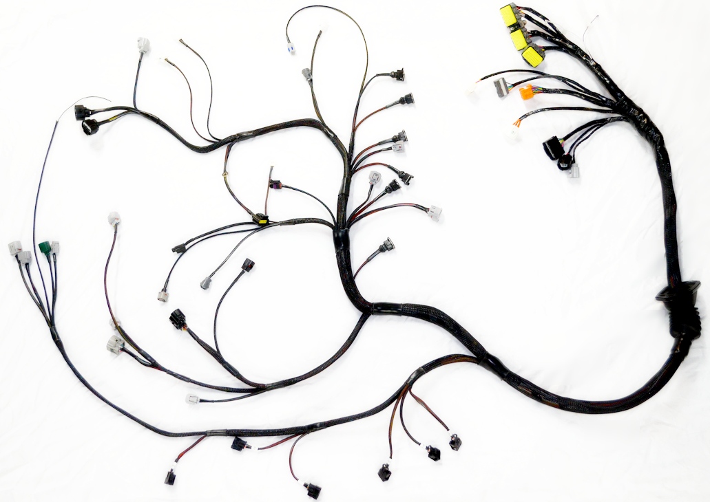 EMS Systems & Harnesses for Supra AEM, Haltech, Motec, Link, VIPEC