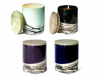 Finesse Collection Bundle