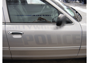 Hollywood Park 2005 Ford Police Interceptor