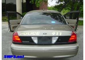 Rear View - Brown Stealth Police Car -Black Graphics